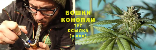 шишки Дмитров