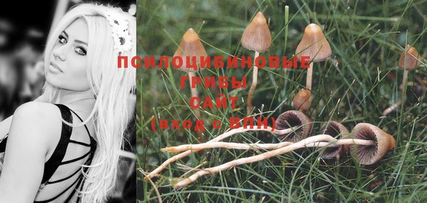 шишки Дмитров