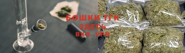 шишки Дмитров