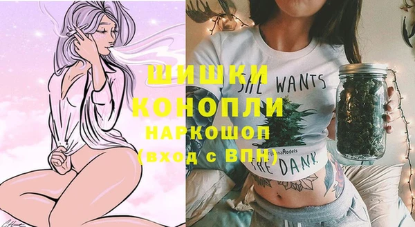 шишки Дмитров