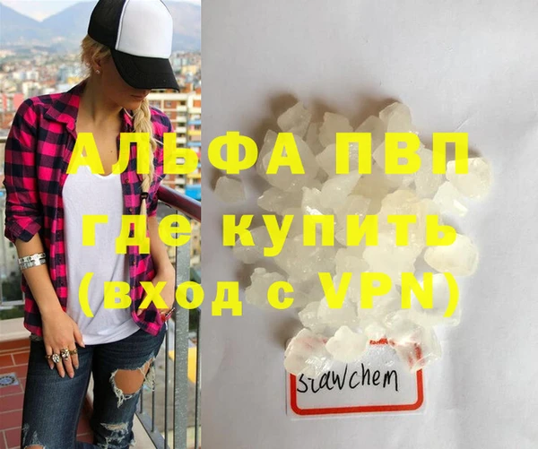 шишки Дмитров