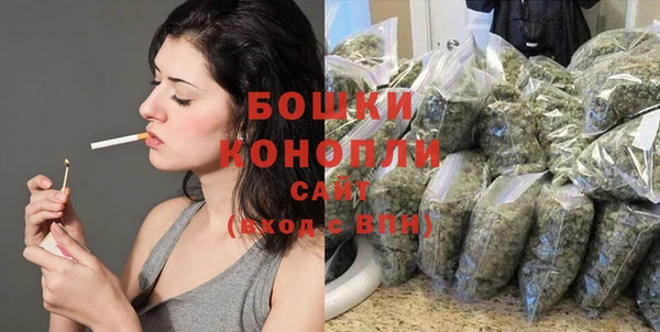 шишки Дмитров