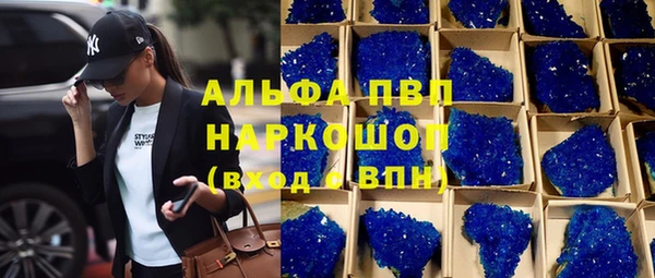 шишки Дмитров