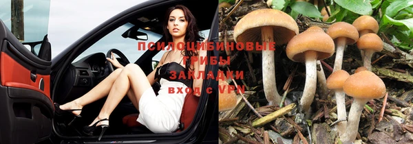 гашишное масло Ельня