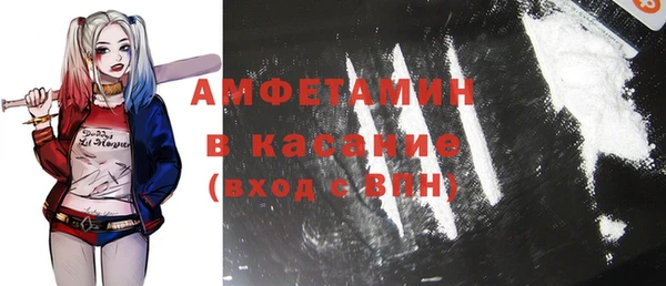 шишки Дмитров